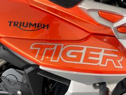 2019 Triumph Tiger 800 XCA Tiger Orange