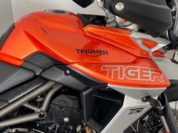 2019 Triumph Tiger 800 XCA Tiger Orange