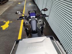 2024 Triumph Tiger 1200 Rally Explorer Tiger Gold