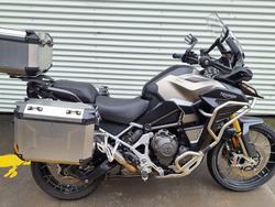 2024 Triumph Tiger 1200 Rally Explorer Tiger Gold
