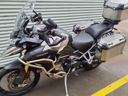 2024 Triumph Tiger 1200 Rally Explorer Tiger Gold