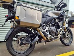 2024 Triumph Tiger 1200 Rally Explorer Tiger Gold