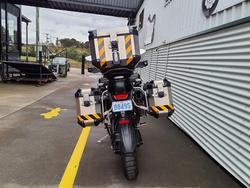 2024 Triumph Tiger 1200 Rally Explorer Tiger Gold