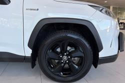 2021 Toyota RAV4 Cruiser