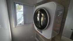 2025 Windsor Daintree