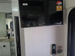 2025 Windsor Daintree