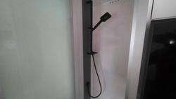 2025 Windsor Daintree