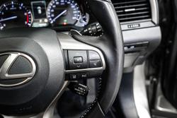 2021 Lexus RX RX300 Crafted Edition