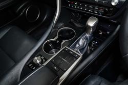 2021 Lexus RX RX300 Crafted Edition