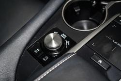 2021 Lexus RX RX300 Crafted Edition