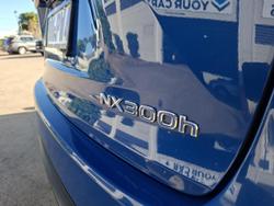 2021 Lexus NX 300h Luxury