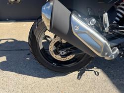 2025 BMW Motorrad G 310 GS WHITE