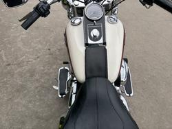 2013 HARLEY-DAVIDSON FLSTN SOFTAIL DELUXE
