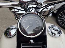 2013 HARLEY-DAVIDSON FLSTN SOFTAIL DELUXE