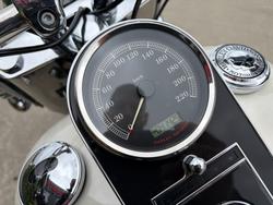 2013 HARLEY-DAVIDSON FLSTN SOFTAIL DELUXE