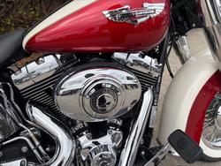 2013 HARLEY-DAVIDSON FLSTN SOFTAIL DELUXE