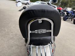 2013 HARLEY-DAVIDSON FLSTN SOFTAIL DELUXE