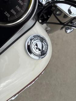 2013 HARLEY-DAVIDSON FLSTN SOFTAIL DELUXE