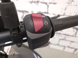 2019 BMW G 310 GS G 310 Grey