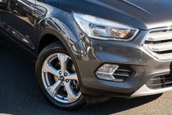 2019 Ford Escape Trend