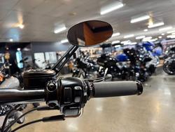 2009 HARLEY-DAVIDSON FXSTB NIGHT TRAIN