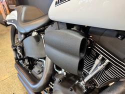 2009 HARLEY-DAVIDSON FXSTB NIGHT TRAIN