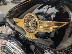 2005 Harley-Davidson Fat Boy 15th Anniversary (FLSTFIANV) Softail Black