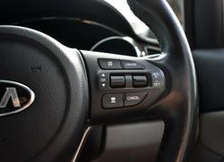 2018 Kia Carnival Platinum