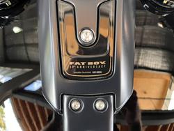 2020 HARLEY-DAVIDSON FLFBSANV FAT BOY 114 30TH ANNI