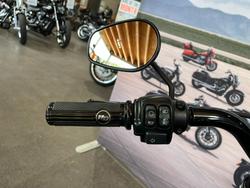 2020 HARLEY-DAVIDSON FLFBSANV FAT BOY 114 30TH ANNI