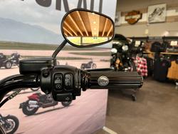 2020 HARLEY-DAVIDSON FLFBSANV FAT BOY 114 30TH ANNI