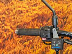 2016 Triumph Scrambler Scrambler Blue