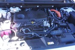 2021 Toyota RAV4 Cruiser