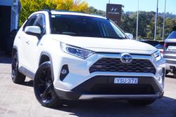 2021 Toyota RAV4 Cruiser