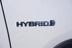 2021 Toyota RAV4 Cruiser