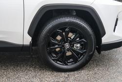 2024 Toyota RAV4 Cruiser