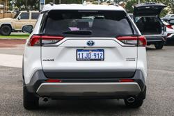 2024 Toyota RAV4 Cruiser