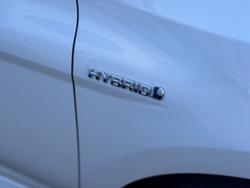 2020 Toyota Camry Hybrid