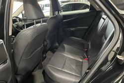 2024 Lexus NX NX350h Sports Luxury