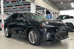 2024 Lexus NX NX350h Sports Luxury