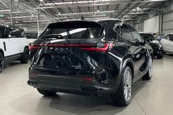 2024 Lexus NX NX350h Sports Luxury