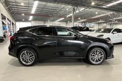 2024 Lexus NX NX350h Sports Luxury