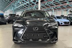 2024 Lexus NX NX350h Sports Luxury