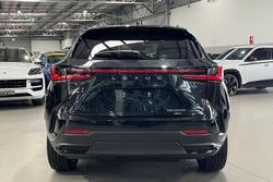 2024 Lexus NX NX350h Sports Luxury