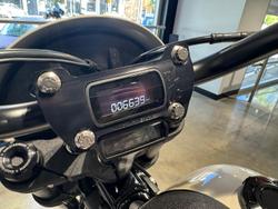 2023 Harley-Davidson Low Rider S 117 (FXLRS) Softail White