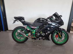 Kawasaki Ninja 250R (EX250)