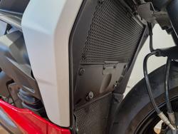 2024 Ducati STREETFIGHTER V2 RED