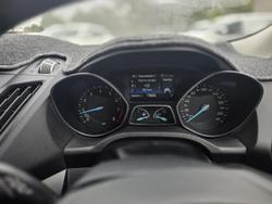 2019 Ford Escape Trend