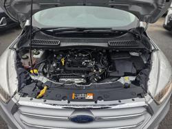 2019 Ford Escape Trend