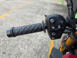 2024 Indian FTR R 1200 CARBON CARBON FIBER